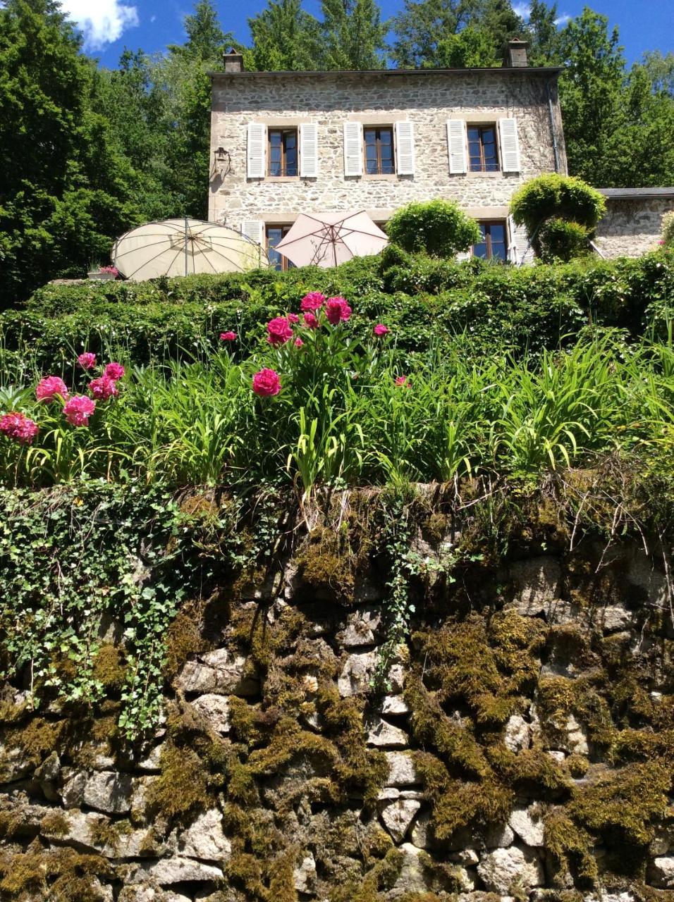 Le Moulin Des Farges Bed & Breakfast Meymac ภายนอก รูปภาพ