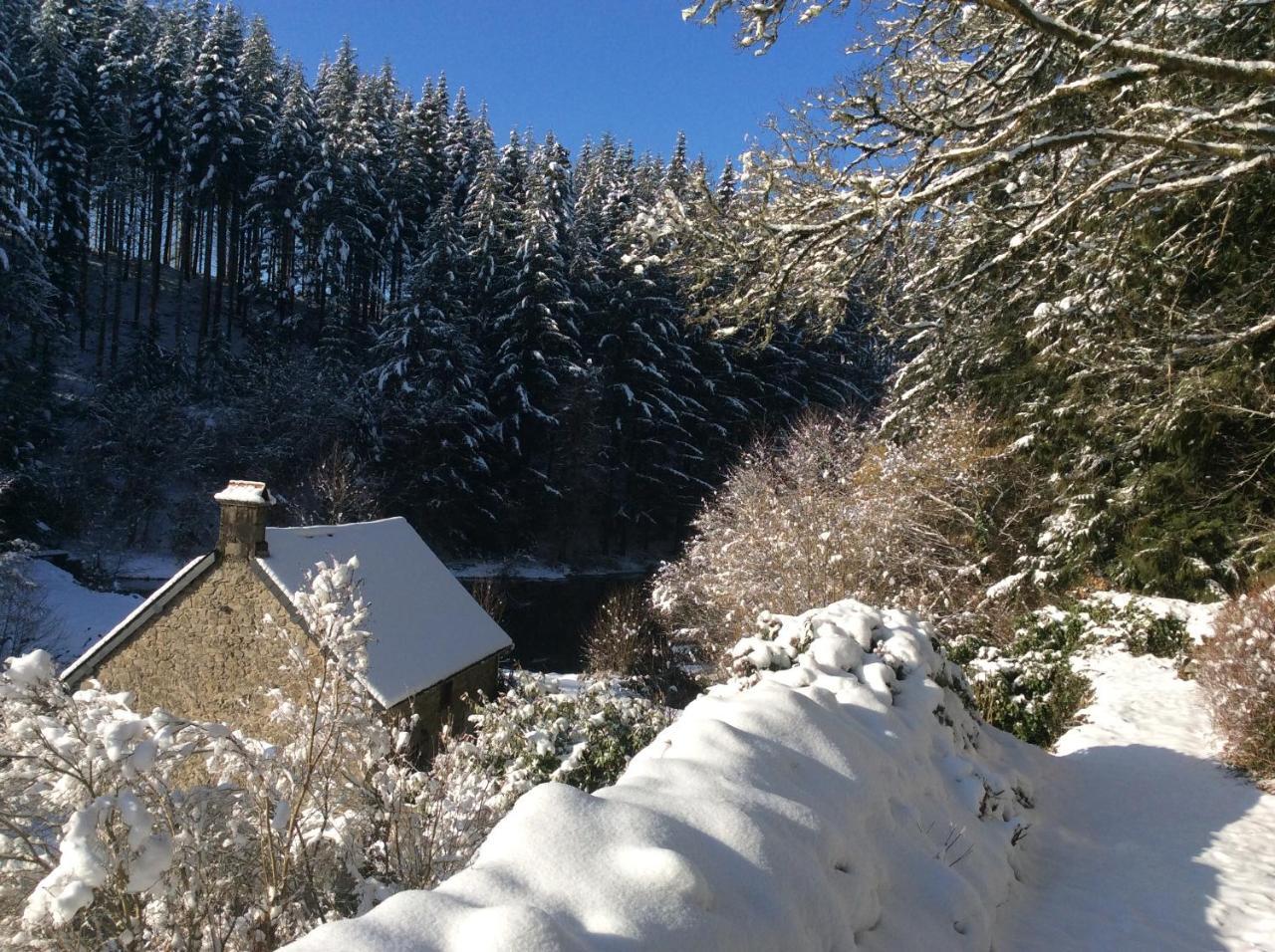 Le Moulin Des Farges Bed & Breakfast Meymac ภายนอก รูปภาพ